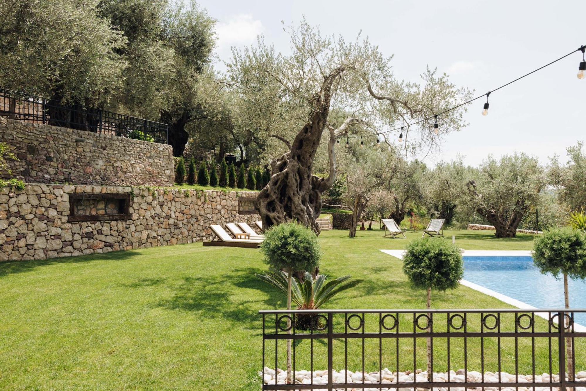 באר Olive Queen Rustic Estate מראה חיצוני תמונה