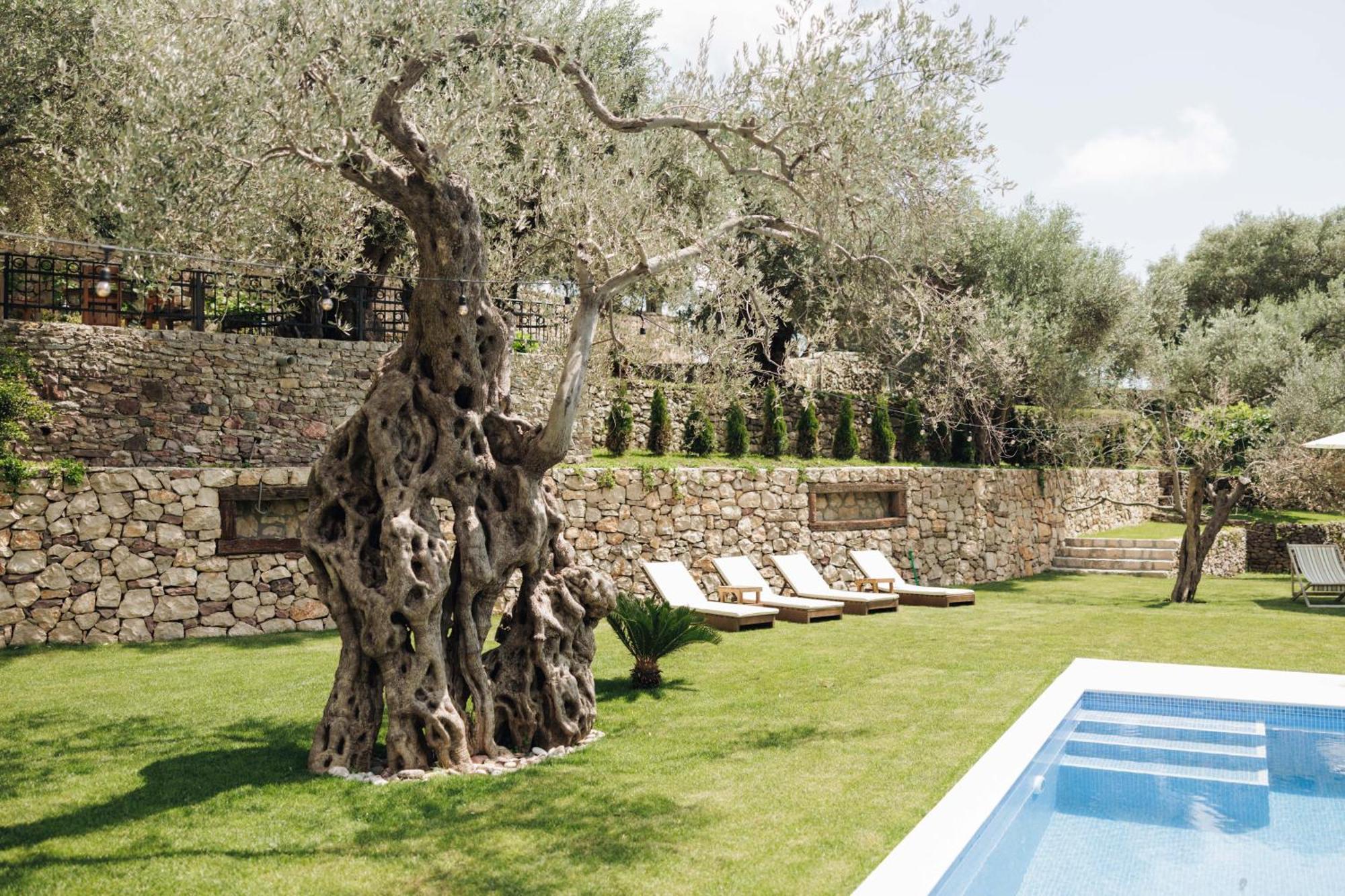 באר Olive Queen Rustic Estate מראה חיצוני תמונה