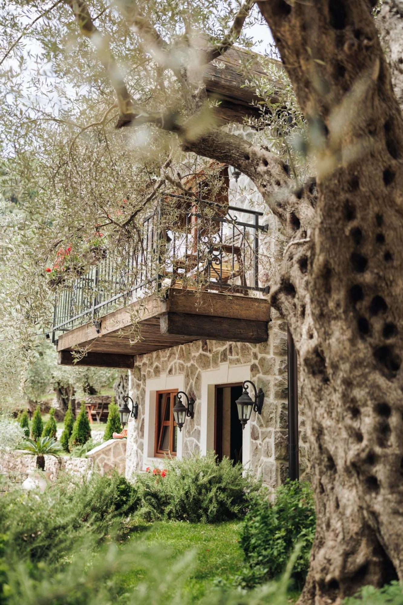 באר Olive Queen Rustic Estate מראה חיצוני תמונה
