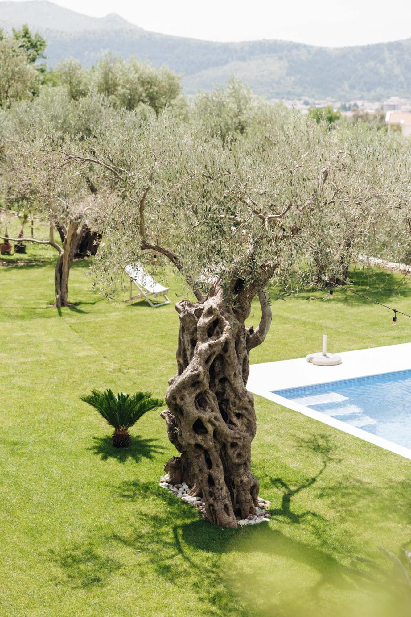 באר Olive Queen Rustic Estate מראה חיצוני תמונה