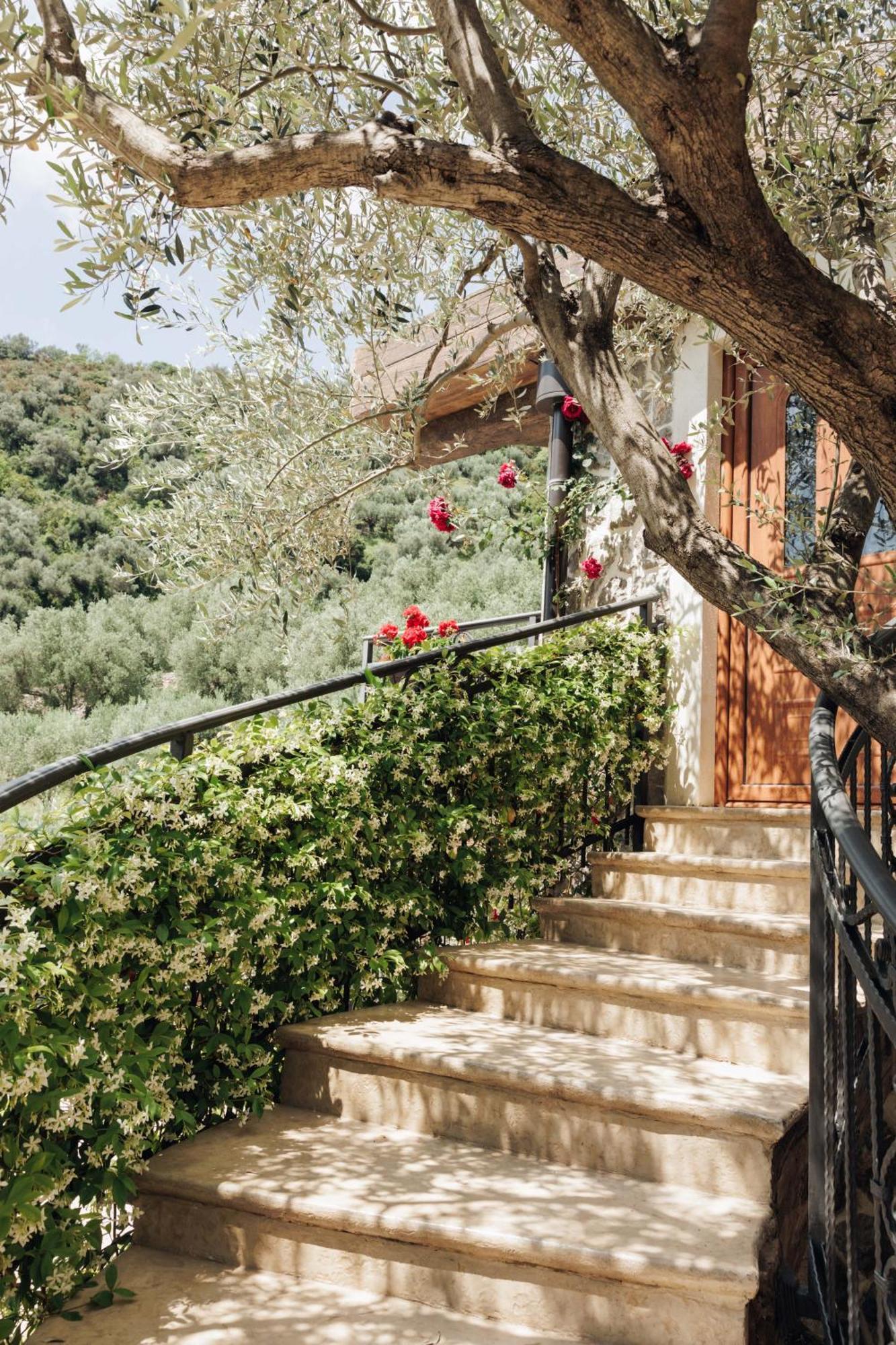 באר Olive Queen Rustic Estate מראה חיצוני תמונה